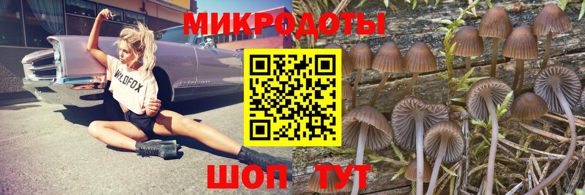 Псилоцибиновые грибы Cubensis Коммунар
